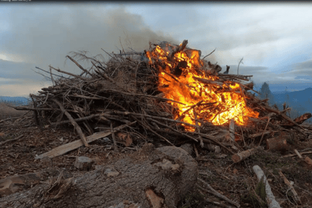 Slash Burn Pile