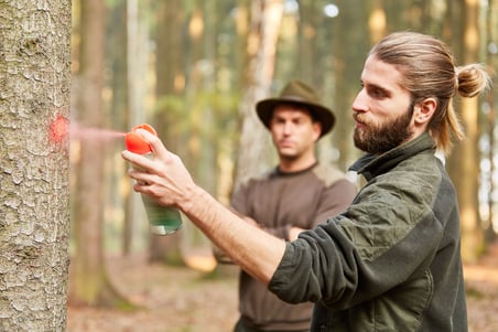 tree marking-AdobeStock_271940127